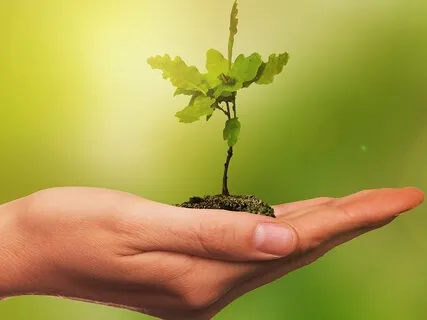 Setting Intentions & Planting Seeds