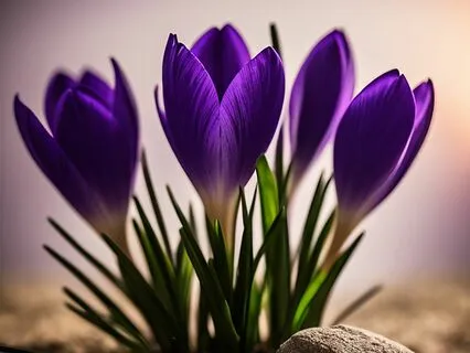 Setting Intentions For A Magical Day