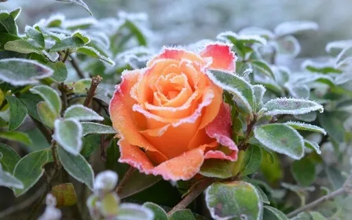 Setting Intentions For The 12 Months Ahead Meditation