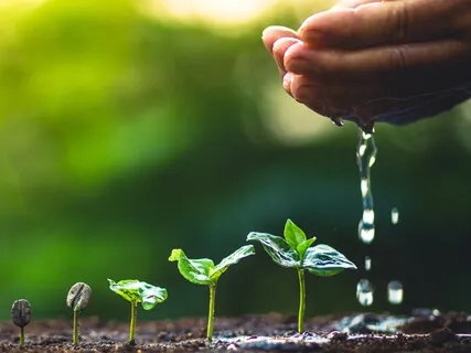 Setting Intentions In Parenting