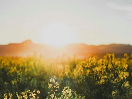 Setting Intentions To Inspire Action And Motivation