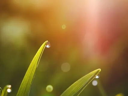 Setting Intentions With A Morning Body Scan