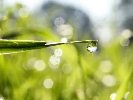 Setting Intentions With Clarity