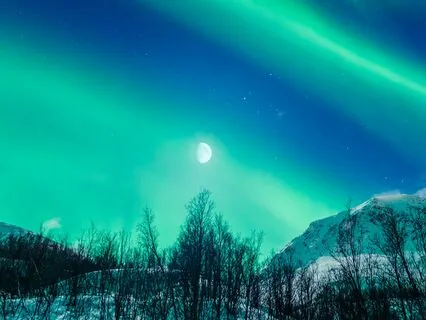 Setting Priorities: Purpose, Nature, And Humanity