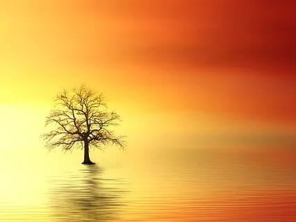 Setting The Day's Intention