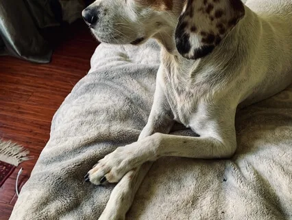 Setting Up Your Own Meditation Practice