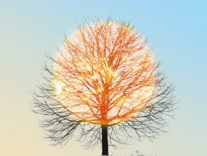 Setting Your Intention Meditation