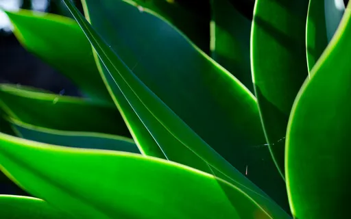 Settle A Busy Mind With Deep Listening