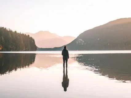 Settle An Anxious Or Wired System