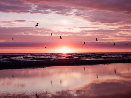 Settle Gently Into Sleep