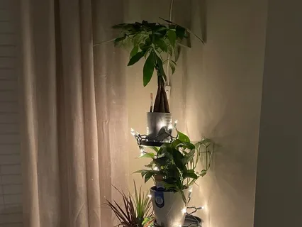 Settle Into Deep Rest And Sleep