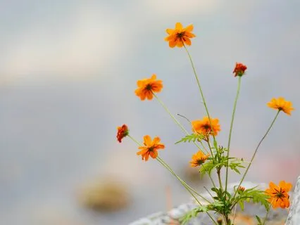 Settle Into The Present Moment