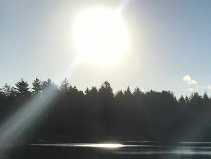 Settle The Nervous System Through Awareness Pendulation