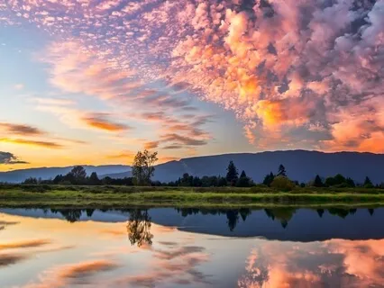 Settle Your Breath, Settle Yourself