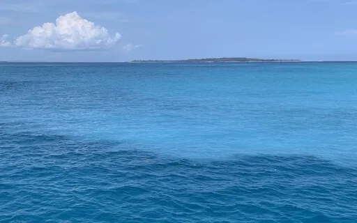 Settle Your Nervous System