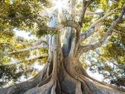 Settling And Grounding – Connecting With Your True Self