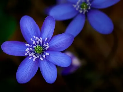 Settling And Grounding- Melting Away Tension And Worry