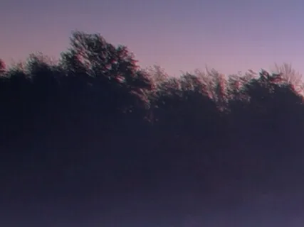 Settling And Releasing 