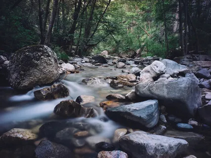 Settling Grounding Resting With The Support Of Sound