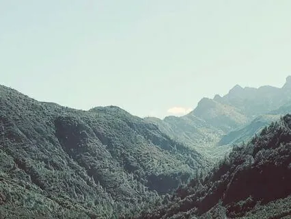 Settling In, Being Okay - (No Soft Gentle Waves)