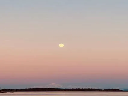 Resting In Presence - Quiet Clarity (20 Minutes)