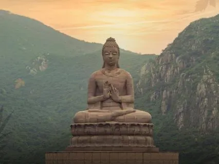 Settling Into Stillness