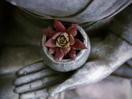 Settling Into The Layers Of Your Being