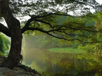 Settling Into The Moment 