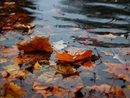 Settling Prenatal Meditation