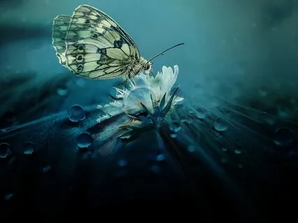 Settling The Breath For Deeper Sleep