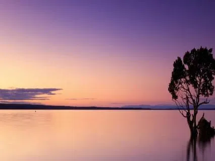 Settling The Mind And The Body