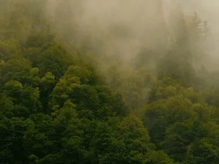 Settling When You Don’t Know