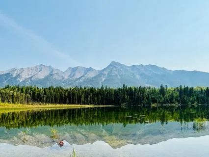 Settling With The Breath