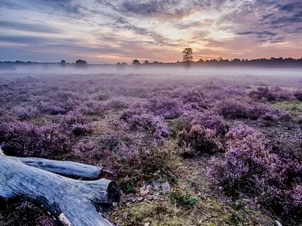 Seven Chakra Meditation 