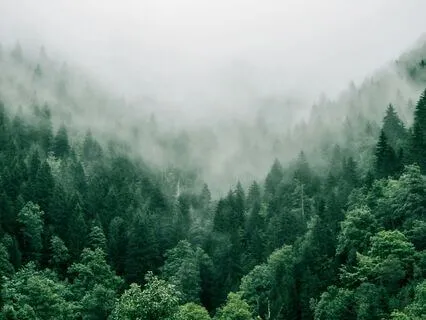 Seven Dimensional Breathing