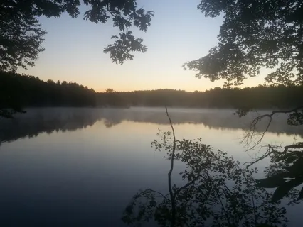 Seven Factors of Awakening Meditation