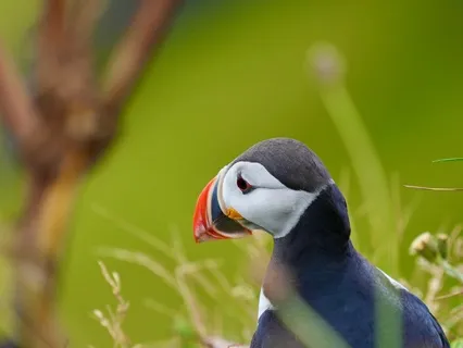 Seven-Minute Meditation For Stress Relief