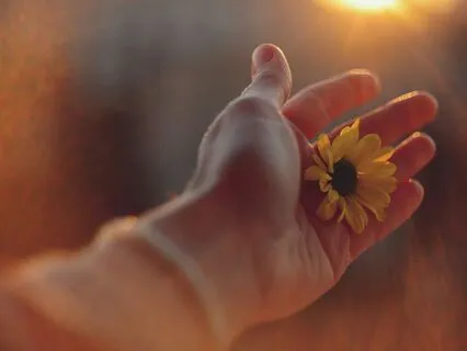 Seven Steps Of Forgiveness