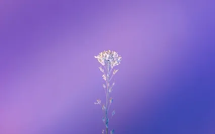 Seventh Chakra Releasing Affirmation Meditation