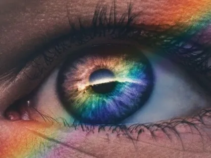 Sexual Orientation Calibration