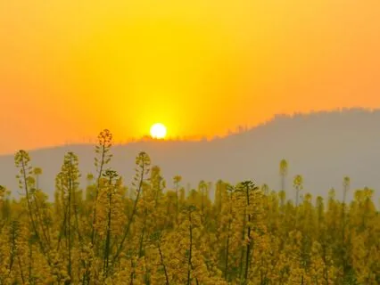 Consistency: The Courage To Start Again | SFTS Ep 5