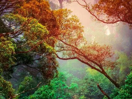 An Interesting Week: Trusting Self | SFTS Ep 6