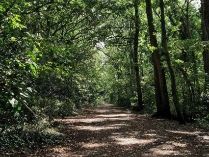 Shaded Path