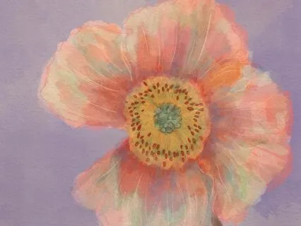 Shades Of Focus: A 5-Minute Reset