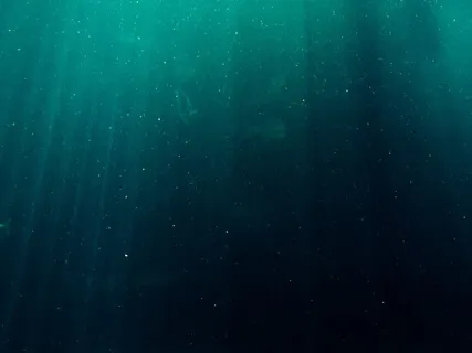 Shades Of Green And Blue