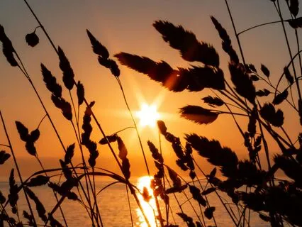 Shades Of Quiet – A Gentle Space For Heartfelt Calm