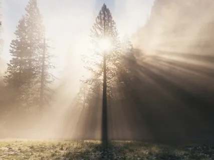 Shadow Clearing Practice