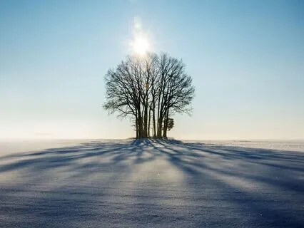 Shadow Knowledge - A Mindful Jewish Moment