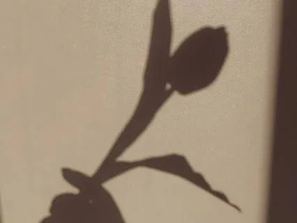 Shadow Self Meditation For Self-Acceptance