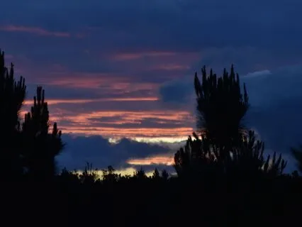 Dealing With Dark Energy: A Live Talk On Shadow Work